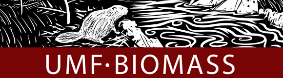 Illustration for the UMF Biomass Plant sign.

		<br />

        Adobe Photoshop, Illustrator, Wacom tablet